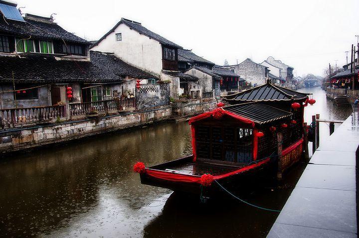 网友与流浪猫、狗的暖心故事!当网友遇上不请自来的小家伙们